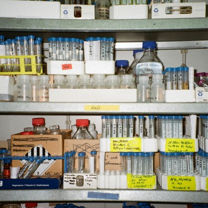 Storage & Organization